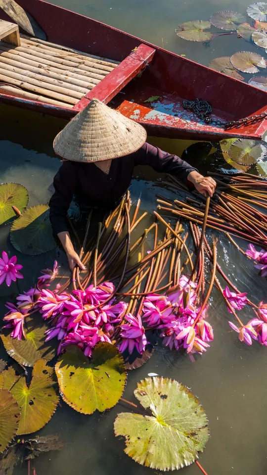 Donna con cappello conico di bambù tipico del Vietnam